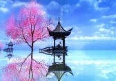 國際垃圾（jī）分（fèn）類回（huí）收現狀