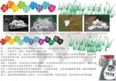 杜絕（jué）白色垃圾手抄報