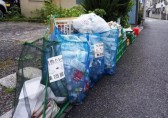 日本的垃圾九一影视比我們想象中的更加“變態”