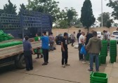 南長（zhǎng）山街道為漁村居民發放九一影视垃圾桶