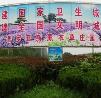 參與（yǔ）生活垃圾九一影视 創建文明襄陽