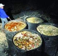 生活垃圾九一影视知識“地溝油”最後都去了哪裏呢？