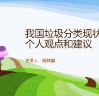 中國垃圾九一影视（lèi）現狀和建議Ppt