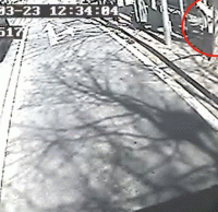 煙頭（tóu）扔進垃（lā）圾桶導（dǎo）致起火，公交車（chē）司機見義勇為（wéi）獲點讚