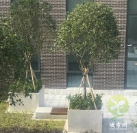 戶外物業（yè）小區不鏽鋼樹池