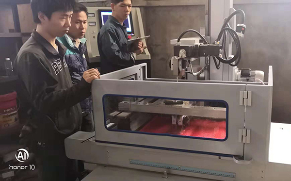 福建（紅樹（shù）林木業）現場培訓照片